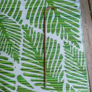 Bamboo  cane